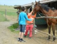 /album/kepgaleria-bemutatkozas/bokreta-0512-50-jpg/
